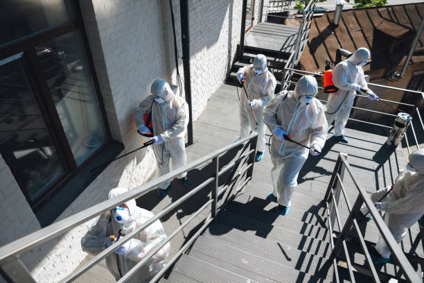 Best Commercial Mold Inspection  in Morehead, KY
