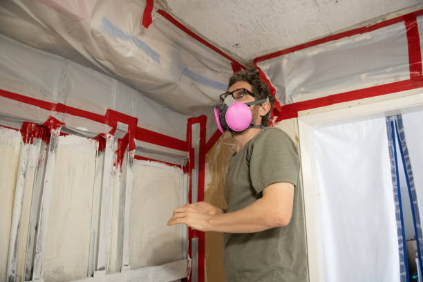 Best Mold Prevention Services  in Morehead, KY