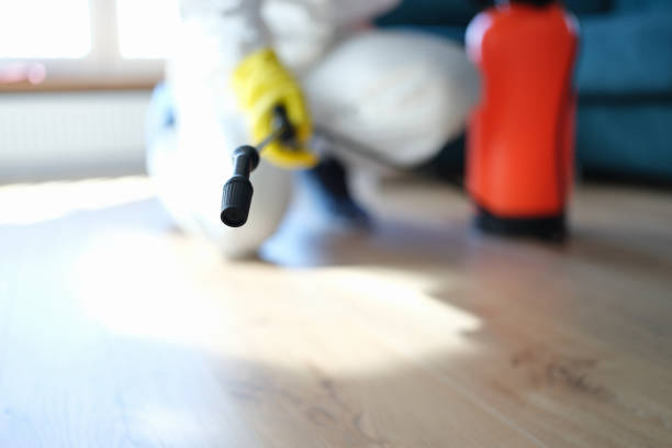 Best Biohazard Mold Removal  in Morehead, KY