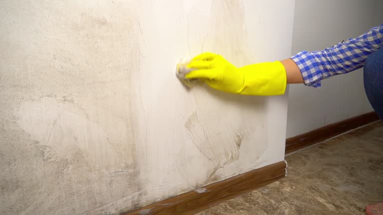 Best Residential Mold Inspection & Testing  in Morehead, KY