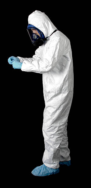  Morehead, KY Mold Removal Pros