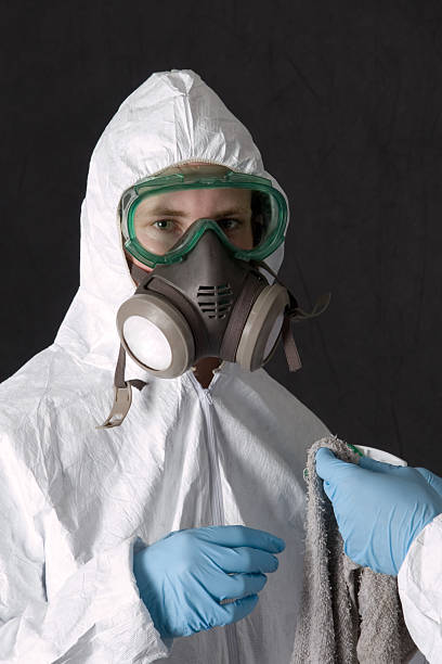 Professional Mold Removal in Morehead, KY